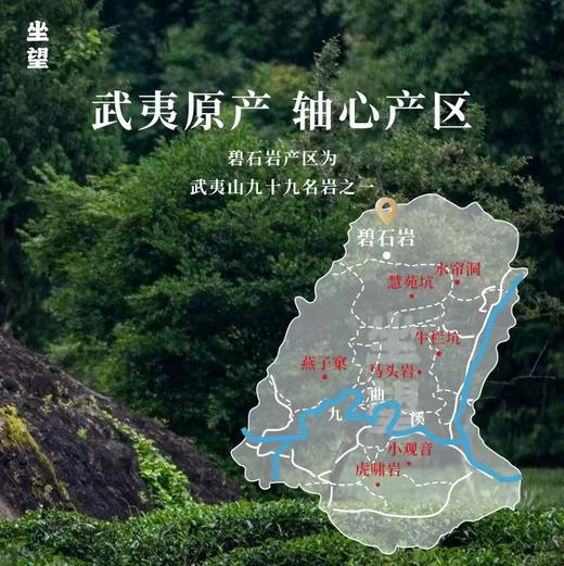 【分销】岩初韵正岩肉桂 源自武夷，取之自然，武夷原产轴心产区，六泡不失味，其韵自然幽，东方茶礼，送人佳品 商品图3