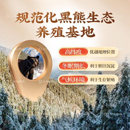 长白山冻干熊胆粉0.15g8瓶正宗金胆熊胆粉官方旗舰店清热平肝明目 商品图8