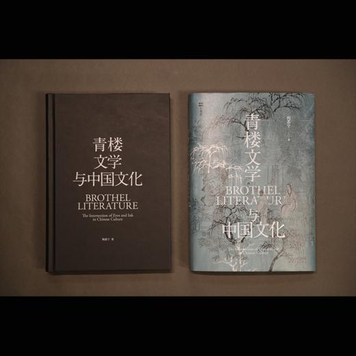 《青楼文学与中国文化》单本 商品图2