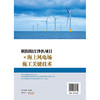 明阳阳江沙扒项目海上风电场施工关键技术 商品缩略图1