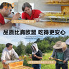 田野牧蜂4瓶组合蜂蜜礼盒苏先生的蜜高活性水白蜜成熟蜂蜜节日送礼 商品缩略图3