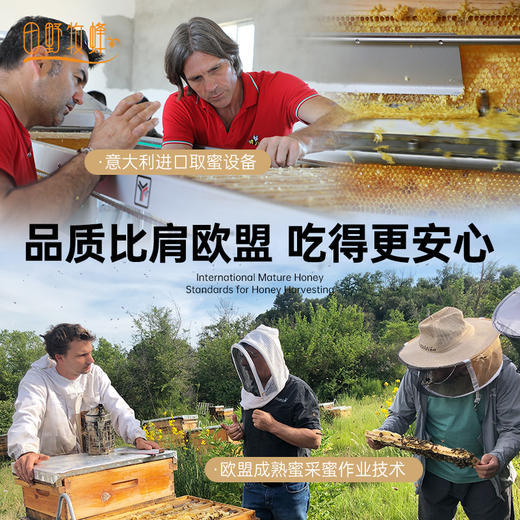 田野牧蜂4瓶组合蜂蜜礼盒苏先生的蜜高活性水白蜜成熟蜂蜜节日送礼 商品图3
