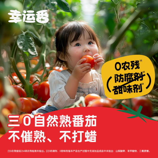 幸运番 番茄沙司 0添加低钠配方，不额外添加盐，适合儿童佐餐食用！2瓶/3瓶/4瓶 商品图1