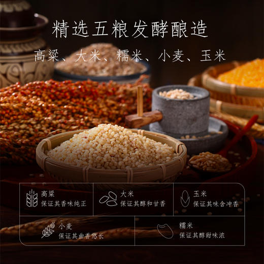 胡庆余堂人参酒 商品图1