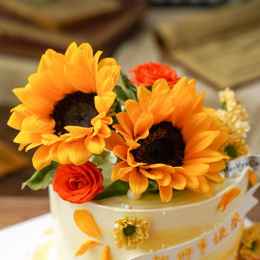 教师节|温暖向阳【B4904】 商品图1