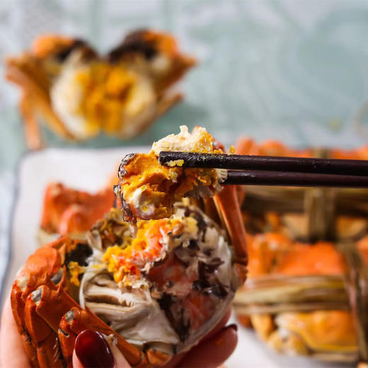 卜鲜季大闸蟹 蟹卡精心挑选 感蟹有你 商品图4