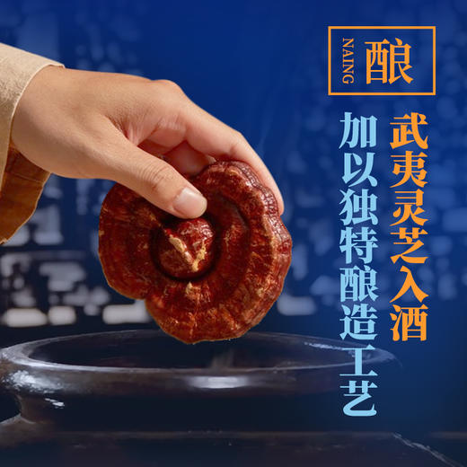 元生泰 甘芝淳灵芝酒500ml  52度浓香型白酒 商品图3