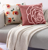 【远梦】远梦柔暖拾光刺绣抱枕 商品缩略图1