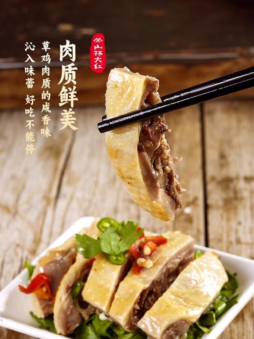 山林大红咸草鸡上海特产白斩鸡整只真空卤味熟食开袋即食盐焗鸡肉 商品图2