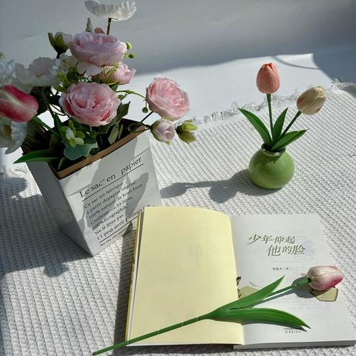 《少年仰起他的脸》 商品图3