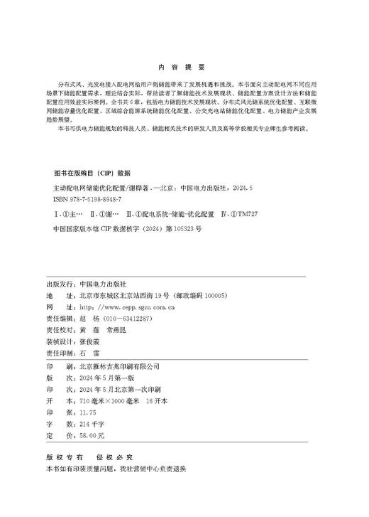 主动配电网储能优化配置 商品图2