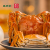 阳澄湖大闸蟹(蟹卡) | 生态养殖 | 膏满肉鲜*Yangcheng Lake hairy crab 商品缩略图1