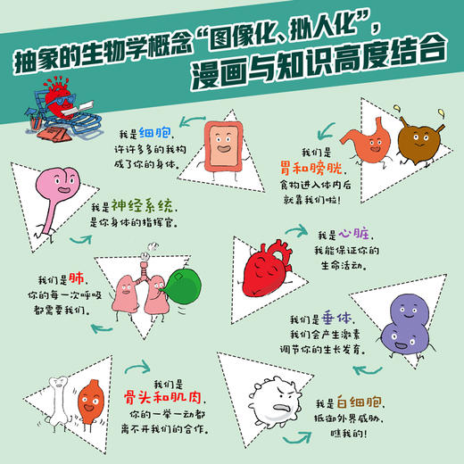 好玩的生物·人体 6岁+  8册 商品图2