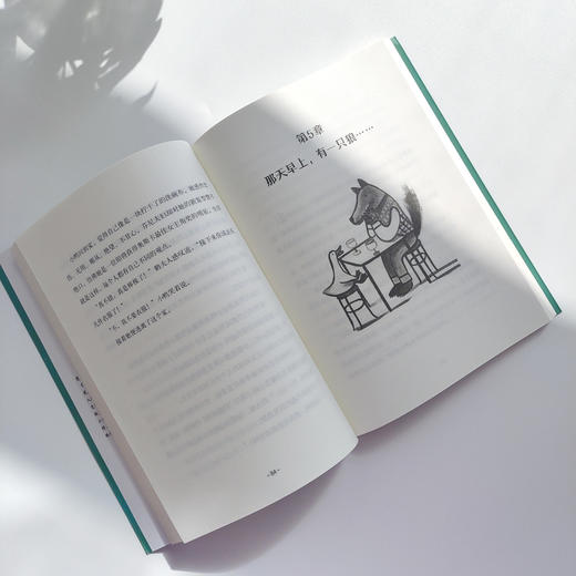 那一天，小鸭决定离开-奇想文库平装 商品图4