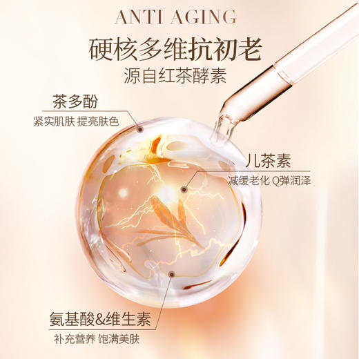 【双12大促】嘉媚乐酵素红茶紧致护肤套装  水乳霜  淡化细纹 弹润紧实 商品图2