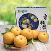 有机圆黄梨(整箱) Organic Yellow Pear(Full container) 商品缩略图0