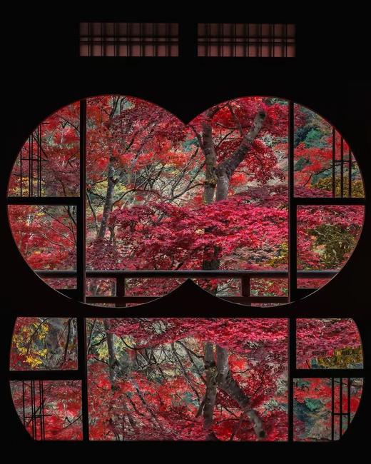 【境外】【绯色关西】日本大阪+京都+奈良6天5晚 商品图0