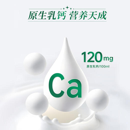 阿迪媞3.6g乳蛋白纯牛奶200ml*10盒/箱~贺兰山黄金奶源带口感香醇，优质厚乳，高钙丰富乳蛋白 商品图3