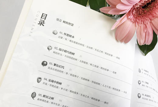 树的智慧（英）麦克斯·亚当斯 著 约翰·伊夫林 绘 商品图4