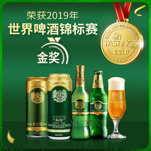 青岛啤酒奥古特12度  500mL*10罐 礼盒装 商品图2