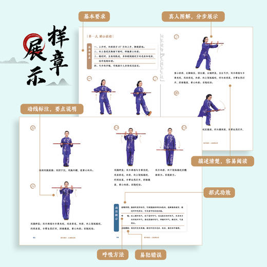 太极养生杖 国术健身健身气功 太极养生功法 太极养生棍 适合老年人看的书 老年人书籍 武术书籍 老祖宗的运动健康智慧 商品图1