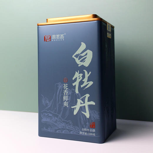 【新品】鼎茗荟丨白牡丹 福鼎白茶 一级 2024年原料 100g 商品图5