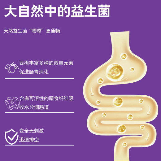 楼兰西施西梅干468g 商品图3