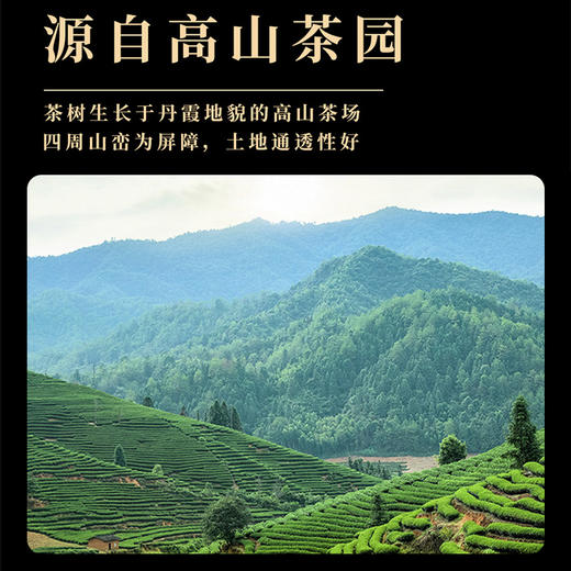 博馨·鱼跃龙门-十大茗茶 五层套组 赠送茶具 国风礼盒 商品图2