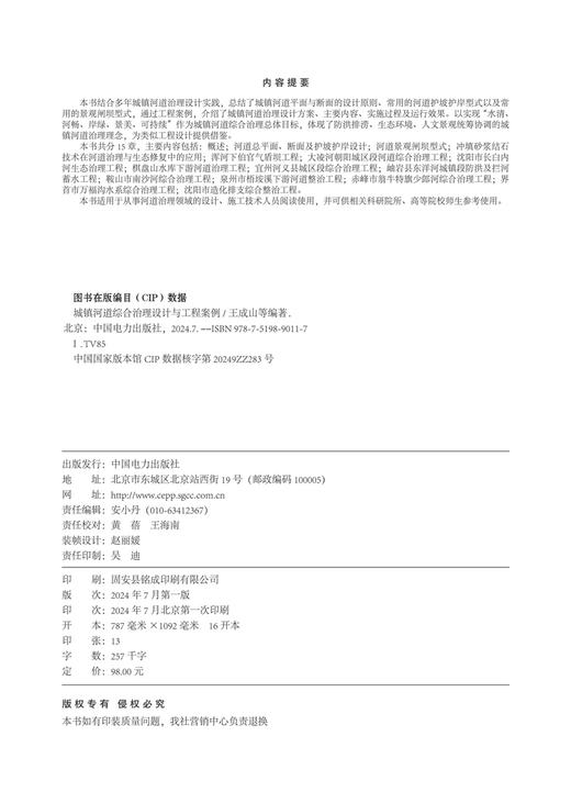 城镇河道综合治理设计与工程案例 商品图3