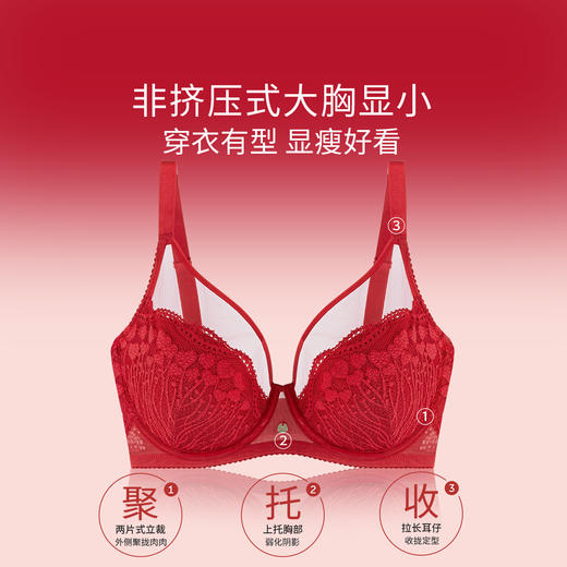 奶糖派微甜2.0本命年红色蕾丝全罩杯文胸大胸显小防凸点结婚内衣 商品图1