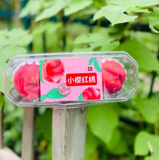 云南小樱红桃| 🌹🍑“小樱红桃”产自美丽的云南文山，天然的地理优势，低纬度产区光热资源好，极早熟，髙海抜昼夜温差大，山区生态环境好健康，无污染等特点造就了文山独特的高品质蜜桃🍑❤️ 商品图3