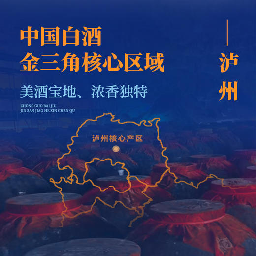 元生泰 甘芝淳灵芝酒500ml  52度浓香型白酒 商品图2