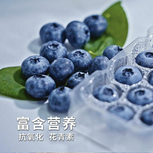 水果组合礼盒【LXJYZQ2.0】 商品图3