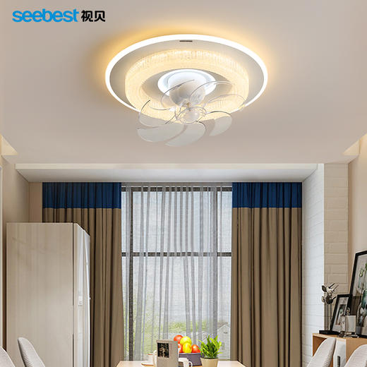 宁夏圆-摇头风扇灯 商品图3