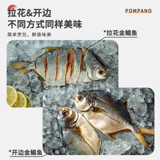 【鱼宗师回味金鲳鱼】免清洗免调味鱼干拉花开边款香煎清蒸细嫩 商品图3
