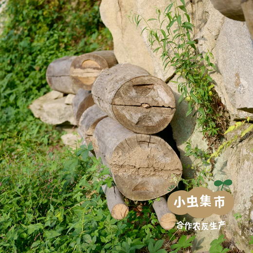 【2025年新蜜】秦岭中蜂百花蜂蜜 500g/罐 | 合作农友生产，产自陕西汉中秦岭，生产者：刘蜜书 &【公平贸易农人定价】 商品图11