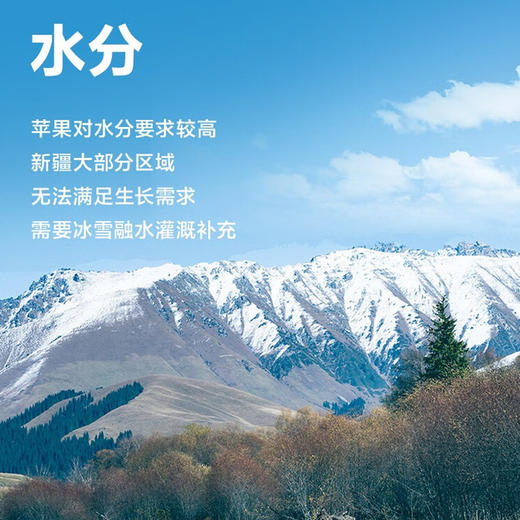 100%鲜果冷压榨0添加NFC纯果汁农夫山泉17.5°新疆苹果汁橙汁330ml*6低温冷藏款 商品图1