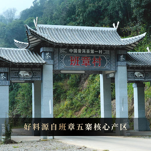 【5月5日14点-15点】【降价拍】【5罐装】【女儿红龙珠】2024年勐海班章晒红龙珠 传统工艺 匠制好茶 送礼自存佳选 220g/罐 商品图5