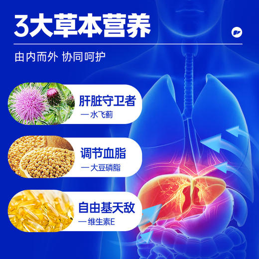 【3瓶更划算】黄金搭档金健甘赛维片水飞蓟磷脂片*60片 商品图2