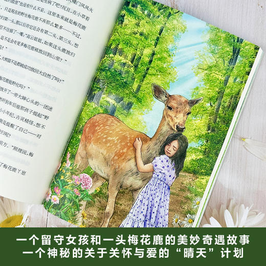 当松鼠从天而降   小草有晴天   百千61期四年级共读书两本套装4年级正版现货速发 商品图3