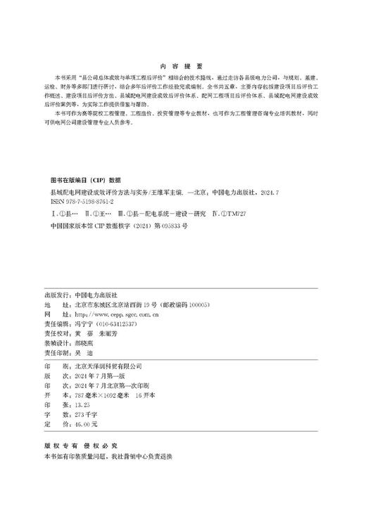 县域配电网建设成效评价方法与实务 商品图3