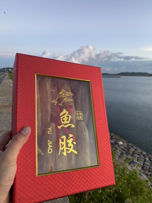 黄花鱼筒胶【礼盒装】 港岛姑娘甄选滋补品 商品图2