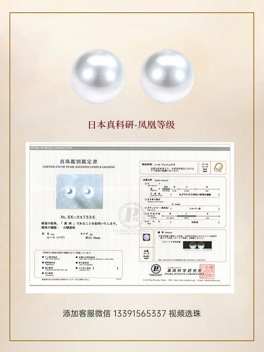 【福利囤珠】 日本真科研凤凰等级澳白对珠 商品图0