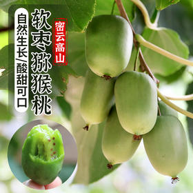 密云树熟软枣猕猴桃350g 迷你奇异果 口感酸甜 奇异莓
