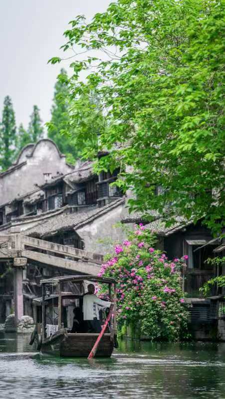 华东5市·住进风景里 ，全程五星&2晚景区内客栈，纯玩拥抱古色江南 商品图7