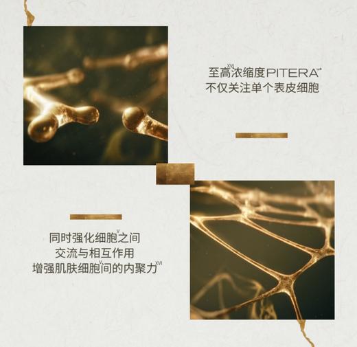 SK-II新LXP匠心精华露150ml 商品图6