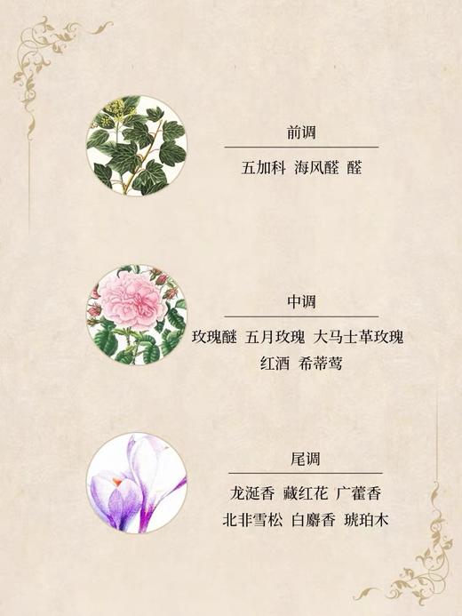 FRAPIN弗拉潘永不复返NEVERMORE法国小众香水木质调 商品图2