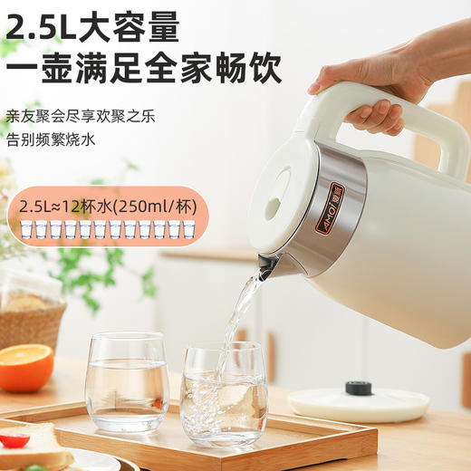 【 Amoi/夏新 一体全自动保温热水壶】2.5L大容量，快速加热，安全不伤手，恒温保温，全自动保温热水壶。家庭、办公室必备良品！ 商品图0
