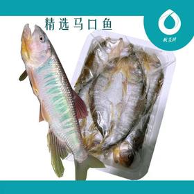 【武汉-新洲】武农科风干马口鱼约0-96kg冷冻（3盒装，320g/盒）