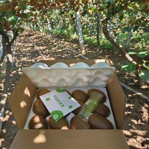 【京东快递】徐香猕猴桃  眉县猕猴桃  今天体验了一把啥叫爆汁 酸甜适中AMX 商品图3